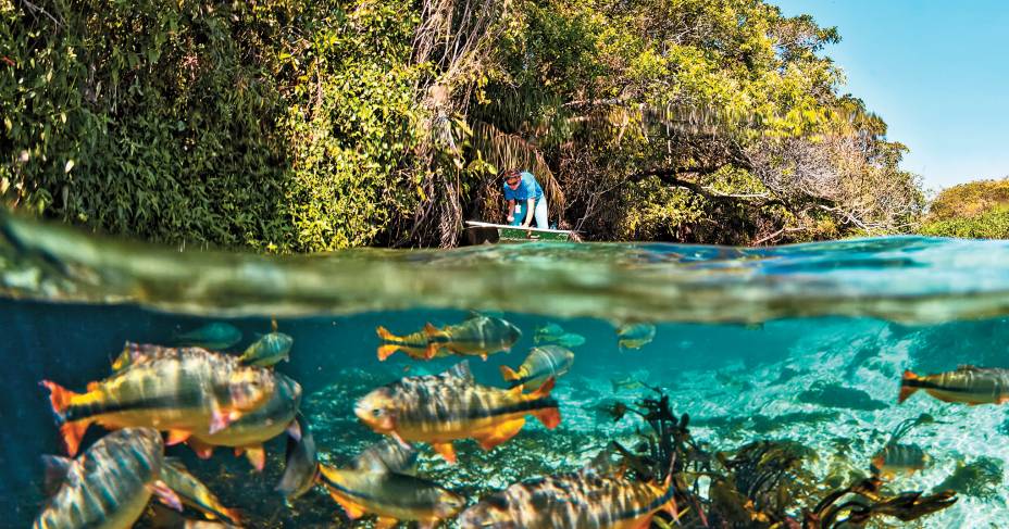 Bonito, Mato Grosso do Sul